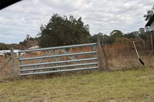 29605 Fullerville Rd, Deland, FL 32720 - Photo 16