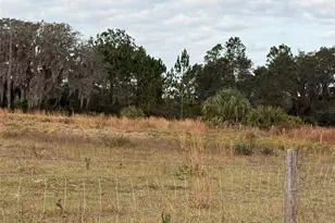 29605 Fullerville Rd, Deland, FL 32720 - Photo 20