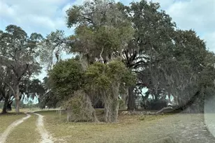 29605 Fullerville Rd, Deland, FL 32720 - Photo 4