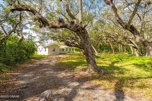 4770 S Peninsula Dr, Ponce Inlet, FL 32127 - Photo 2