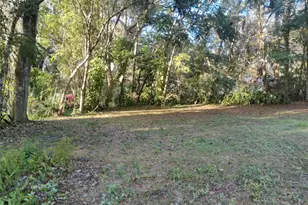 487 Rylane St, De Leon Springs, FL 32130 - Photo 36