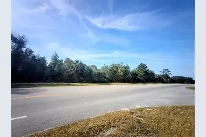 0 Doyle Road, Deltona, FL 32738 - Photo 4