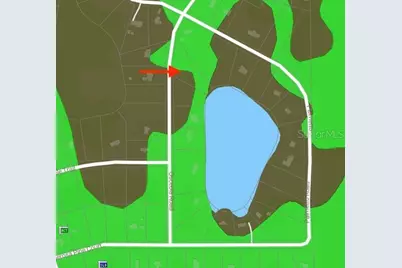 116 Osceola Road, Georgetown, FL 32139 - Photo 4