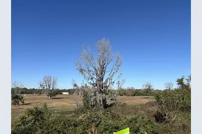 Tomoka Farms Road, Port Orange, FL 32128 - Photo 4