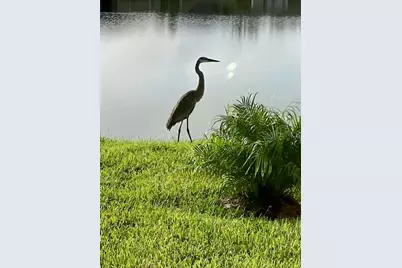 1601 Delphi Way, New Smyrna Beach, FL 32168 - Photo 40