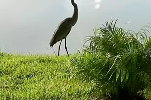 1601 Delphi Wy, New Smyrna Beach, FL 32168 - Photo 40