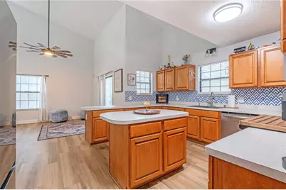 425 Black Ironwood Drive, Deland, FL 32724 - Photo 8