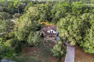 425 Black Ironwood Dr, Deland, FL 32724 - Photo 20