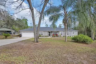 43746 Sunset Dr, Paisley, FL 32767 - Photo 1