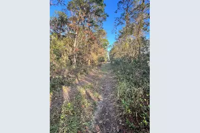 University Highlands/ Deland Crossings, Deland, FL 32724 - Photo 2