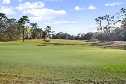 110 Curry Rise Court, Deland, FL 32724 - Photo 38