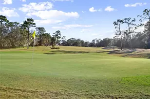 110 Curry Rise Ct, Deland, FL 32724 - Photo 38