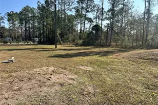 1730 Berrybush St, Bunnell, FL 32110 - Photo 4