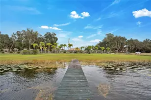 2067 Lake Juanita Rd, Seville, FL 32190 - Photo 74