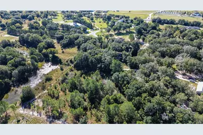 Lot 6 Tree Frog Lane, Eustis, FL 32736 - Photo 12