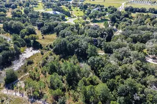 Lot 6 Tree Frog Ln, Eustis, FL 32736 - Photo 12