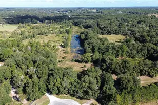 Lot 6 Tree Frog Ln, Eustis, FL 32736 - Photo 8