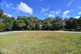 Lot 6 Tree Frog Ln, Eustis, FL 32736 - Photo 6