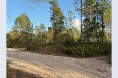 880 Still Road, Pierson, FL 32180 - Photo 4