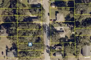 S Parsons Ave, Deland, FL 32720 - Photo 6