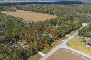 3528 Dunstable Dr, Deland, FL 32720 - Photo 36