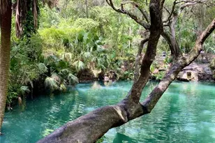 140 Orchid Woods Ct, Deltona, FL 32725 - Photo 34