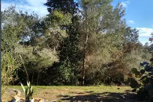 3069 Twinleaf Ave, Deltona, FL 32725 - Photo 26