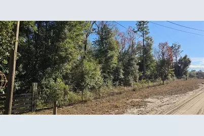 7195 Gas Line Road, Keystone Heights, FL 32656 - Photo 8