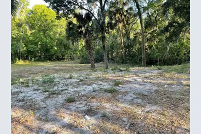 Park Avenue, De Leon Springs, FL 32130 - Photo 2