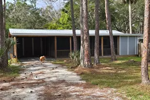 3616 Watermelon Ln, New Smyrna Beach, FL 32168 - Photo 1