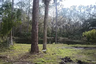 3616 Watermelon Ln, New Smyrna Beach, FL 32168 - Photo 14