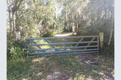 384 Crescent Lake Shore Drive, Crescent City, FL 32112 - Photo 28