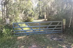 384 Crescent Lake Shore Dr, Crescent City, FL 32112 - Photo 28