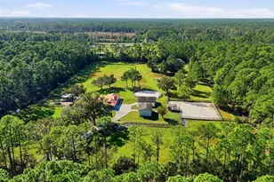 460 Spring Forest Dr, New Smyrna Beach, FL 32168 - Photo 68