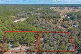 1501 Dillard Rd, Astor, FL 32102 - Photo 38