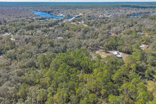 1501 Dillard Rd, Astor, FL 32102 - Photo 48