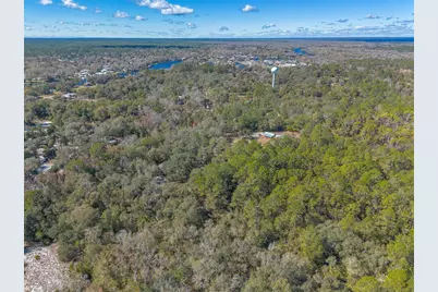 1501 Dillard Road, Astor, FL 32102 - Photo 46