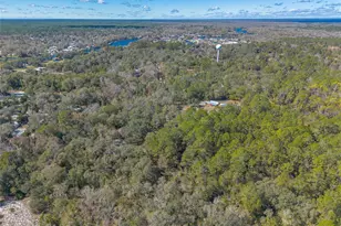 1501 Dillard Rd, Astor, FL 32102 - Photo 46