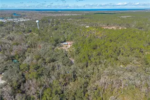 1501 Dillard Rd, Astor, FL 32102 - Photo 44
