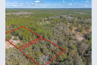 1501 Dillard Road, Astor, FL 32102 - Photo 42