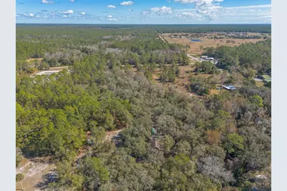 1501 Dillard Road, Astor, FL 32102 - Photo 40