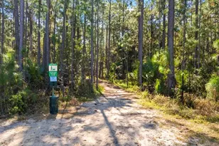 3371 Medici Blvd, New Smyrna Beach, FL 32168 - Photo 52