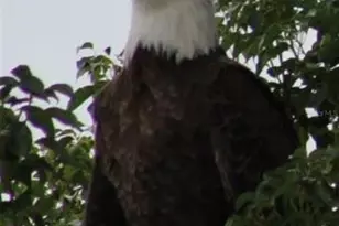 2498 Rusk Ct, Deltona, FL 32738 - Photo 78