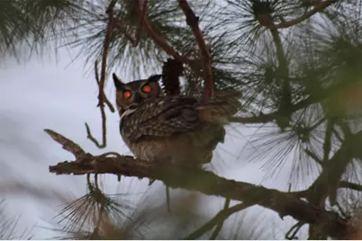 2498 Rusk Court, Deltona, FL 32738 - Photo 76