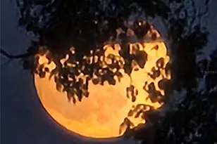 2498 Rusk Ct, Deltona, FL 32738 - Photo 82