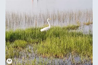 2498 Rusk Court, Deltona, FL 32738 - Photo 72