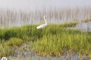 2498 Rusk Ct, Deltona, FL 32738 - Photo 72