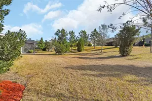 509 Adenmore Ter, Deland, FL 32724 - Photo 6