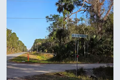 1243 Gee Whiz Drive, Osteen, FL 32764 - Photo 2