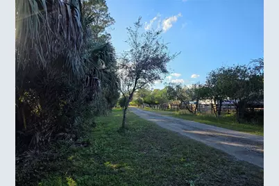 1243 Gee Whiz Drive, Osteen, FL 32764 - Photo 12